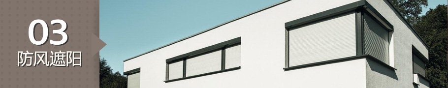 p3.jpg