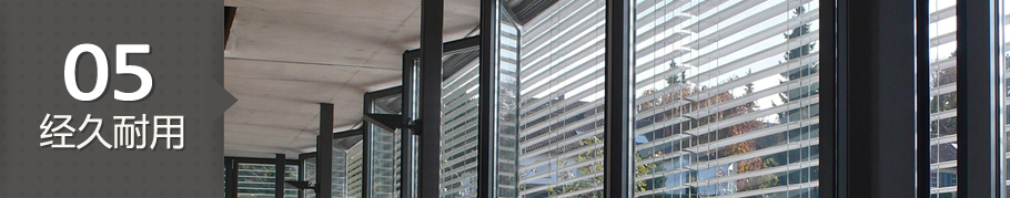 p5(11).jpg
