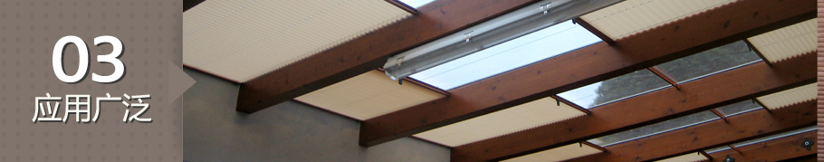 p3(33).jpg