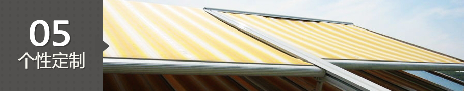 p5(19).jpg