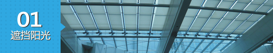 p1(23).jpg