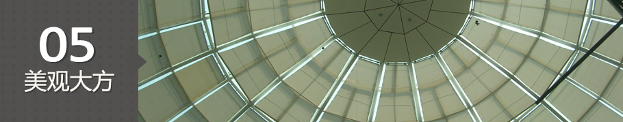 p5(24).jpg