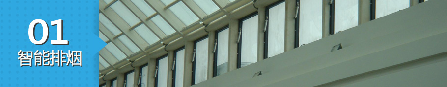 p1(53).jpg