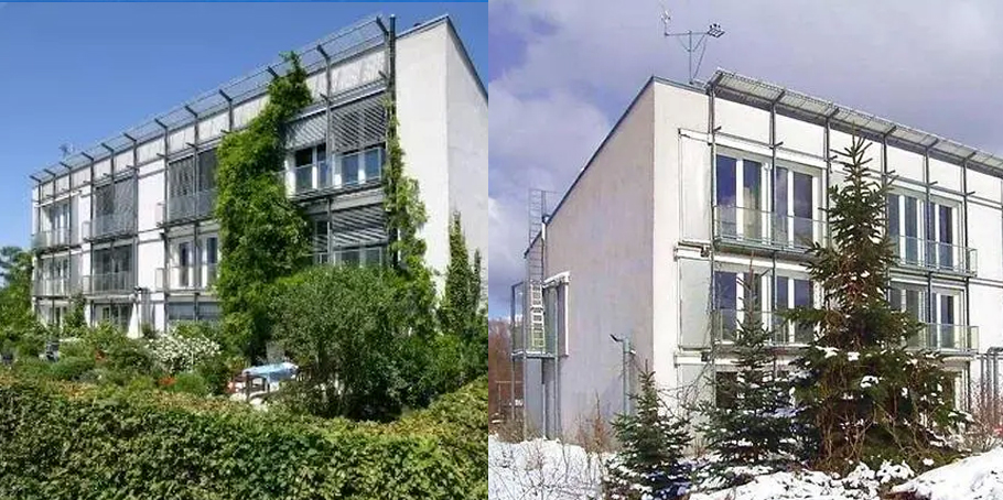 pic2(41).jpg